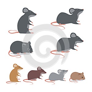 Rat - Mice collection with cute and lovely cartoon Illustration