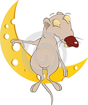 Rat and the moon