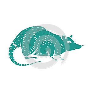 Rat or Mouse Hand Drawn on white background. Vector