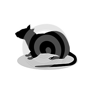 Rat mouse rodent black silhouette animal