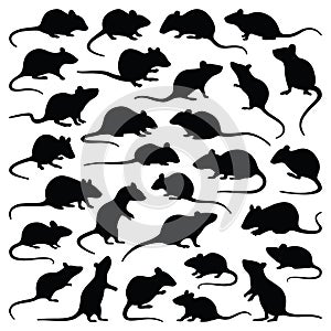 Una rata a ratón silueta compuesta de gráficos vectoriales ilustraciones 