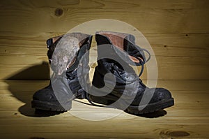 Rat and old military boots.