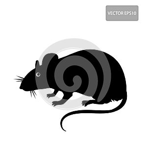 Rat Silhouette On The White Background. Rat Vector Disease. Harmful Rodent, Parasite.