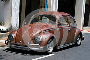 Rat style beetle