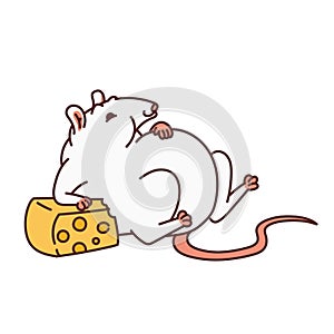 Rat white cute fat mouse too much cheese. Chinese new year symbol outline vector cartoon isolated illustration.