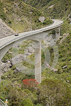 Rata flowers at the Otira Viaduct