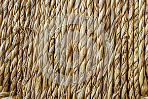 Ratan texture - close up photo