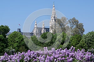 Rathaus in Vienna, Austria