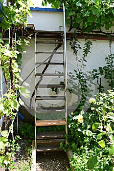 rather steep stairway up to the second level of the garden, wine roof