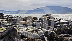 Rathlin Island Northern Ireland