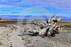 Rathtrevor Provincial Park with Beach at Parksville, Eastern Vancouver Island, British Columbia