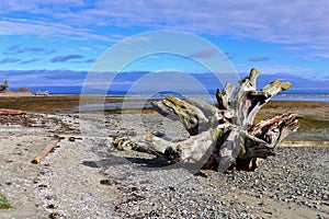Rathtrevor Provincial Park with Beach at Parksville, Eastern Vancouver Island, British Columbia photo