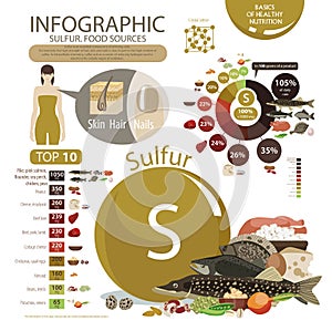 Infografica da zolfo contenuti naturale pasto prodotti 