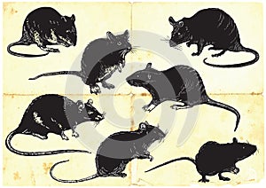 Rats collection, freehand sketching, vector illustration