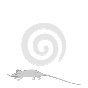 Rats and mice as design elements - stylized animals, fairy tales, children illustration or horoscopes