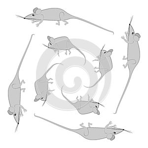 Rats and mice as design elements - stylized animals, fairy tales, children illustration or horoscopes