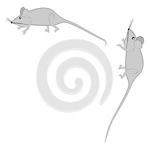 Rats and mice as design elements - stylized animals, fairy tales, children illustration or horoscopes