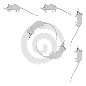 Rats and mice as design elements - stylized animals, fairy tales, children illustration or horoscopes