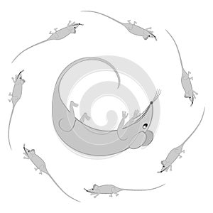 Rats and mice as design elements - stylized animals, fairy tales, children illustration or horoscopes