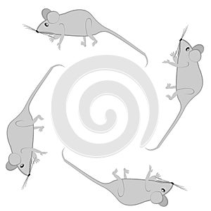 Rats and mice as design elements - stylized animals, fairy tales, children illustration or horoscopes