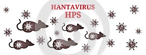 Rats - pathogens and vectors of the hantaviruses. Abstract model of hantavirus with title. Isolated on white background