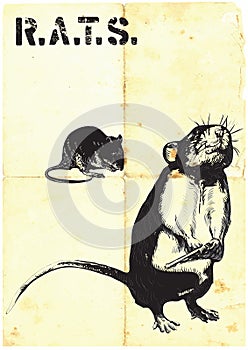 Rats, rat with gun - freehand drawing, vector