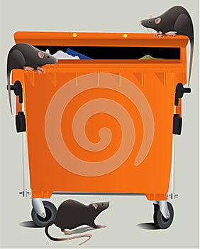 Rats in the rubbish dump