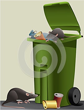 Rats in the rubbish dump