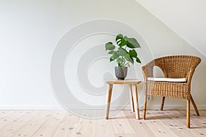 Rattan armchair with a wooden table with a potted plant