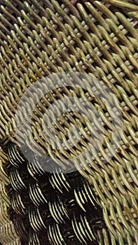 rattan chair delight elegant and cozy