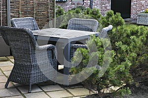 Rattan furniture in pine corner