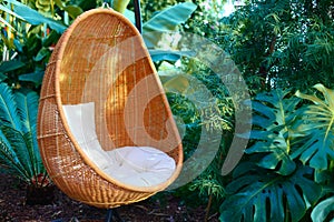 Rattan oval hanging chair witht pillow in tropical plant