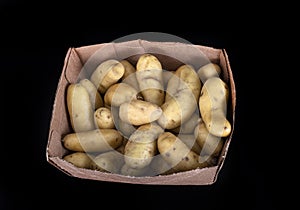 Ratte potato in studio