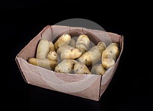 Ratte potato in studio