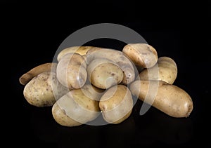 Ratte potato in studio