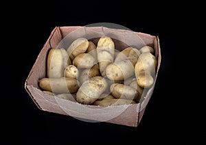 Ratte potato in studio