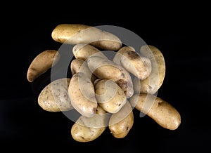 Ratte potato in studio