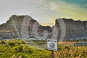 Rattle Snake Crossing in the Badlands