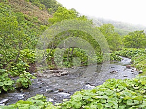 Rausu Landschap, Rausu landscape