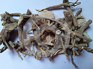 Rauvolfia serpentina roots, the Indian snakeroot, devil`s pepper or serpentine wood Sarpagandha is an medicinal herb.