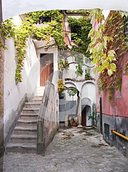 Ravello alley climber autumnal