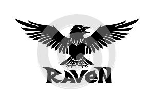 Raven bird icon.