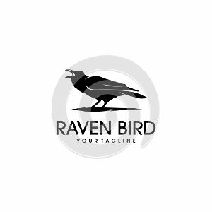 Raven bird logo design inspiration photo