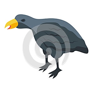 Raven bird icon isometric vector. Crow flight