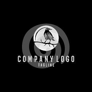 Raven bird logo design with circle photo