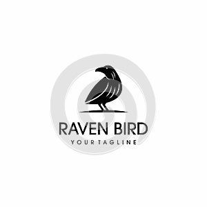 Raven bird logo design vector inspiration photo