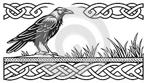 Raven with Celtic Knotwork Border, vector design Generative AI