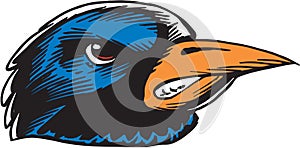 Raven Head Vector Illustration