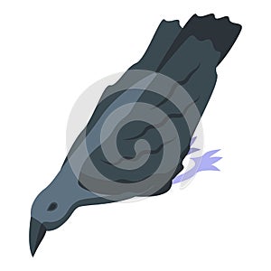Raven icon isometric vector. Crow bird