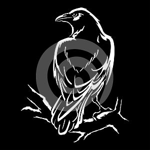 Raven isolated vector illustration